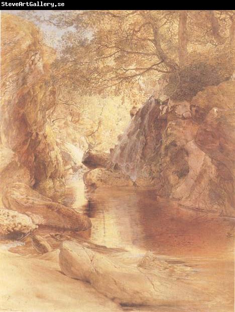 Samuel Palmer A Cascade in Shadow,Drawn on the Spot,near the Function of the Machno and Conway,North Wales